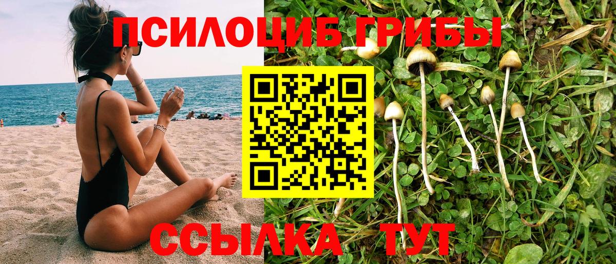 Псилоцибиновые грибы прущие грибы  Вход с VPN  Тельмана 