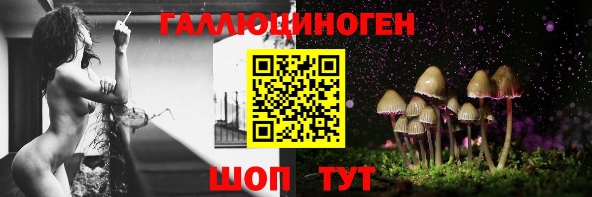 Псилоцибиновые грибы Magic Shrooms Тельмана